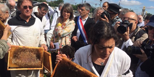 En détresse, les apiculteurs rendent hommage aux abeilles perdues