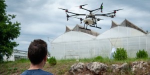Des drones pour combattre la chenille processionnaire du pin