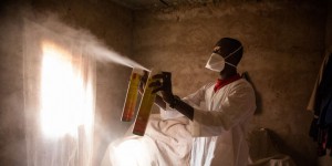 Des moustiques OGM contre le paludisme : le projet qui fait débat au Burkina