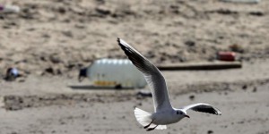Chaque seconde, vingt kilos de plastique sont rejetés par les Européens dans la Méditerranée