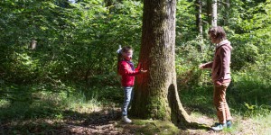 A Annecy, les enfants des villes apprennent à devenir copains des bois