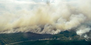 Incendies, chaleur, sécheresse… la Suède suffoque