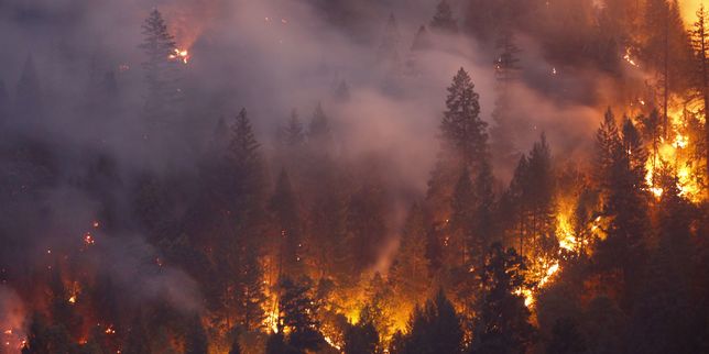 Les incendies meurtriers de Californie vus du ciel
