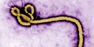 Ebola réapparaît dans l’est de la République démocratique du Congo