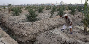 Une grave crise de l’eau frappe l’Irak