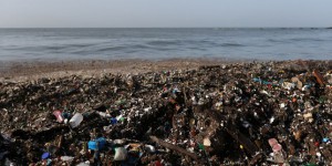 Le nettoyage des plages, c’est bon pour le moral (et l’environnement)