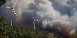 « Le Portugal vise la neutralité carbone en 2050 »