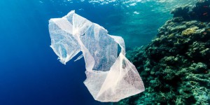 « Cash Investigation » dénonce le double discours des industriels sur le recyclage du plastique