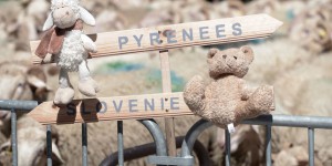 Enquête ouverte après des menaces d’opposants à la réintroduction de deux ourses dans les Pyrénées