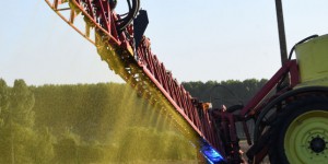 Glyphosate : l’Assemblée rejette à nouveau l’interdiction de l’herbicide dans la loi