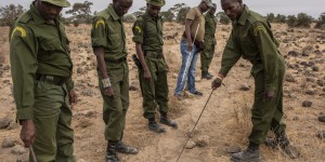 Au Kenya, des méthodes antiterroristes pour protéger la faune sauvage