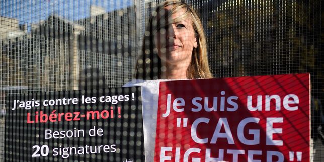 Lancement d’une initiative citoyenne européenne pour interdire les élevages d’animaux en cage