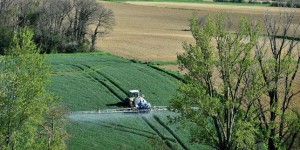 Pesticides : le gouvernement suspend temporairement l’utilisation du méthamsodium