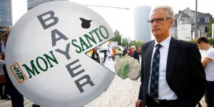 Bayer, dans l’enfer du mariage avec Monsanto