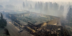 Incendies en Californie : « La nature montre des solutions »