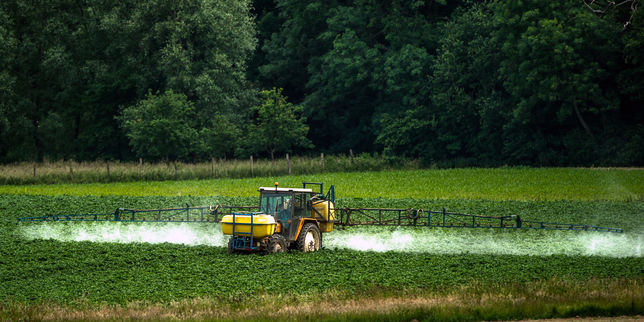Pesticides : quelles alternatives au méthamsodium ?