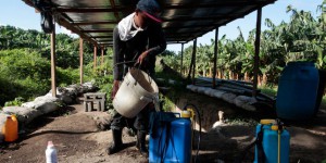 Pesticides : des Nicaraguayens se tournent vers la France pour faire appliquer un jugement