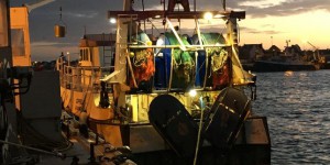 Dans le port breton du Guilvinec, la filière pêche s’inquiète de l’impact du Brexit