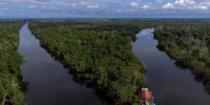 « Les projets anti-écologiques de Bolsonaro créent un risque pour les entreprises »