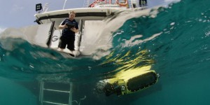 Un robot va pondre des « bébés coraux » sur la Grande Barrière pour la régénérer