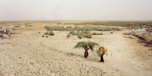 En Irak, l’eau ne coule plus dans le « jardin d’Eden »