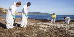 En Méditerranée, la dépollution durera jusqu’au printemps