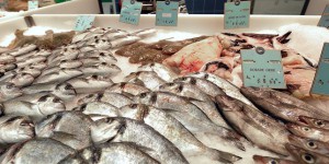 « 86 % des poissons » de grandes surfaces « sont pêchés selon des méthodes non durables »