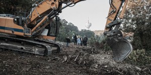 Dans la forêt de Romainville, le difficile combat des écologistes contre un projet d’aménagement