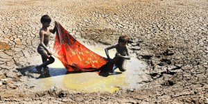 Une grave sécheresse touche le centre de l’Inde