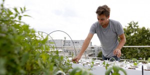 A Paris, les germes de la discorde freinent l’essor de l’agriculture urbaine