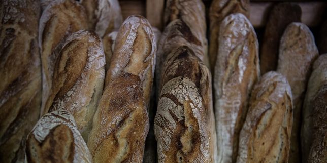 Plusieurs substances indésirables sont contenues dans le pain, selon « 60 millions de consommateurs »