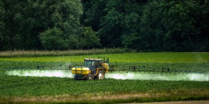 Distribution frauduleuse de glyphosate : trois acteurs du marché des pesticides condamnés