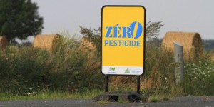 « Le manque de soutien à la recherche sur les pesticides pose la question du choix politique »