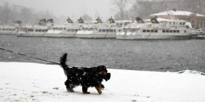 Météo : nouvelle journée marquée par la neige et le verglas dans le centre-est de la France