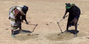 Un « plan d’investissement climatique » de 400 milliards de dollars pour le Sahel