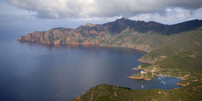 Des associations demandent une meilleure protection de la réserve de Scandola, en Corse
