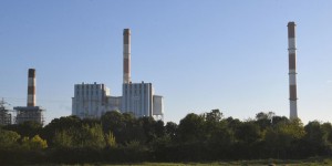 Le bois peut-il sauver les centrales à charbon françaises ?