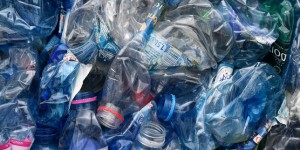 Des bouteilles plastiques recyclables à l’infinie