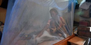 Paludisme : des moustiquaires doublement efficaces