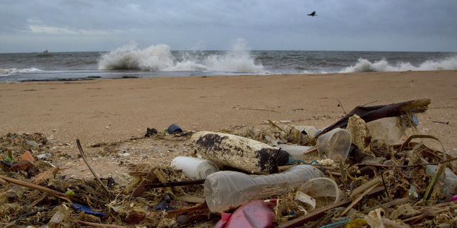 Pollution : « Seule, paradoxalement, la plasticité pourra nous sauver des plastiques »