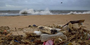 Pollution : « Seule, paradoxalement, la plasticité pourra nous sauver des plastiques »