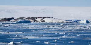 Protection de l’Antarctique : « la France et Emmanuel Macron ont la possibilité d’écrire l’histoire »