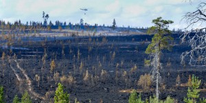 Sécheresse et chaleur : les incendies repartent en Scandinavie
