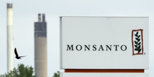 Affaire des « fichiers » de Monsanto : posez-nous vos questions