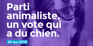 Européennes 2019 : le Parti animaliste crée la surprise parmi les « petits »