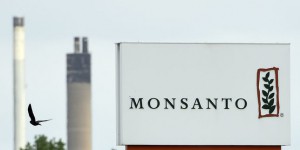 Fichier Monsanto : deux nouvelles plaintes déposées