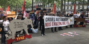 Mobilisation à Paris pour des cirques sans animaux sauvages