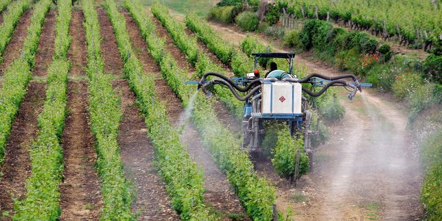 Les pesticides toujours tabous dans le Bordelais