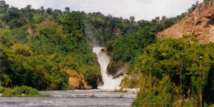 En RDC et en Ouganda, le groupe Total dans le viseur des défenseurs de l’environnement