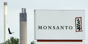 Soupçon de fichage illégal par Monsanto : Bayer présente ses excuses